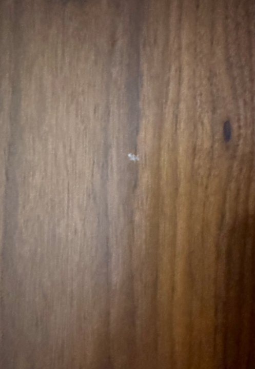 Zimmer Radisson Hotel & Apartments Gdansk