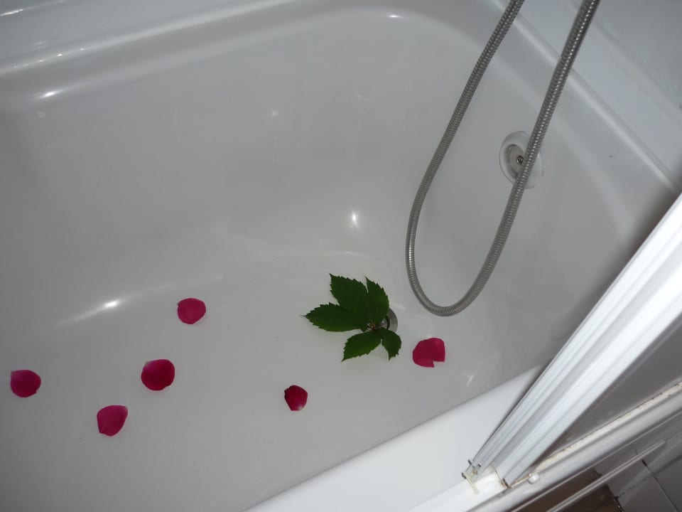 Zwemmen Hotel Kaila Krizantem