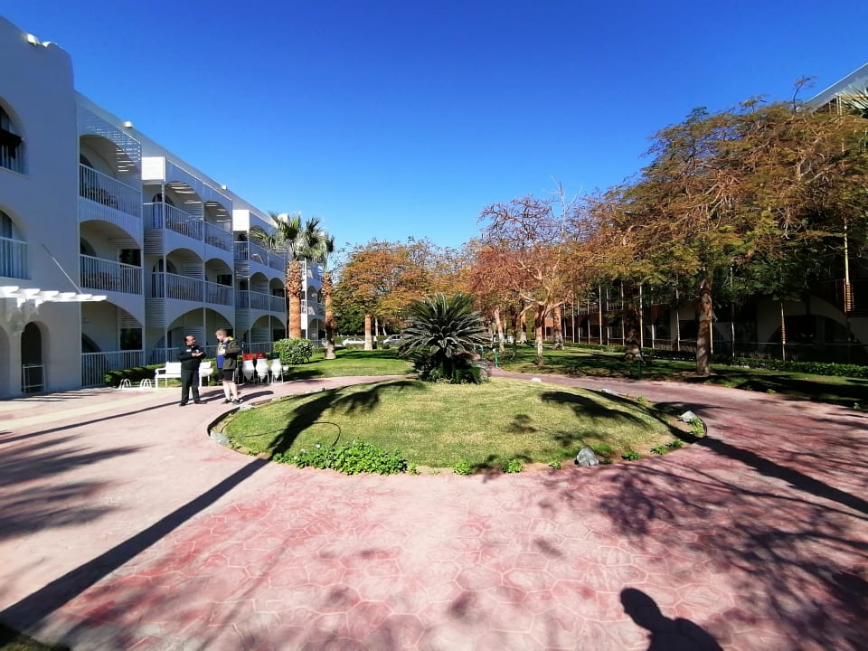 Außenansicht Desert Rose