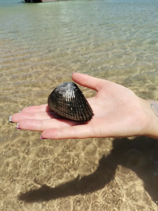 Strand Sentido Caribbean World Soma Bay