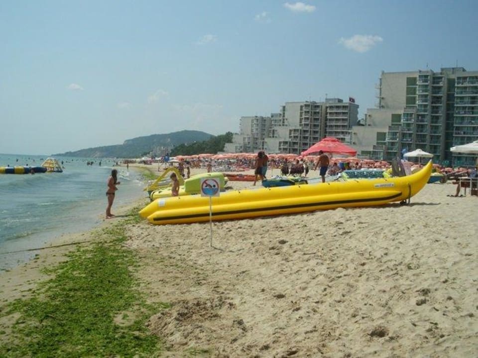 Anfang der Algenplage Ralitsa Aqua Club