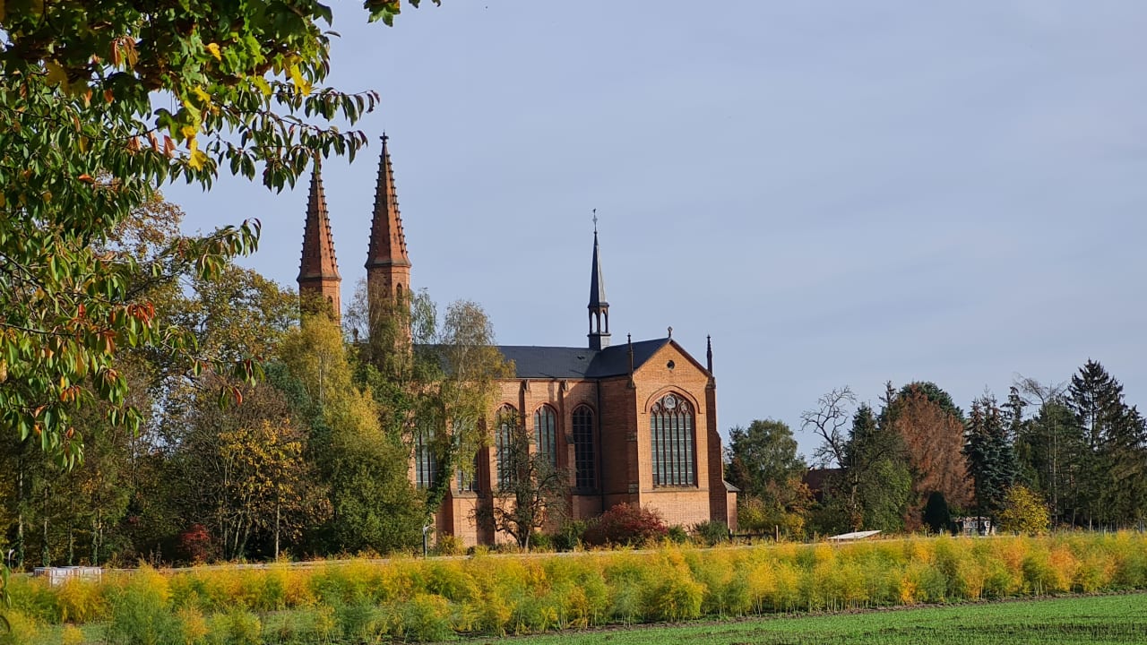 Ausblick Hotel Jagdschloss Letzlingen