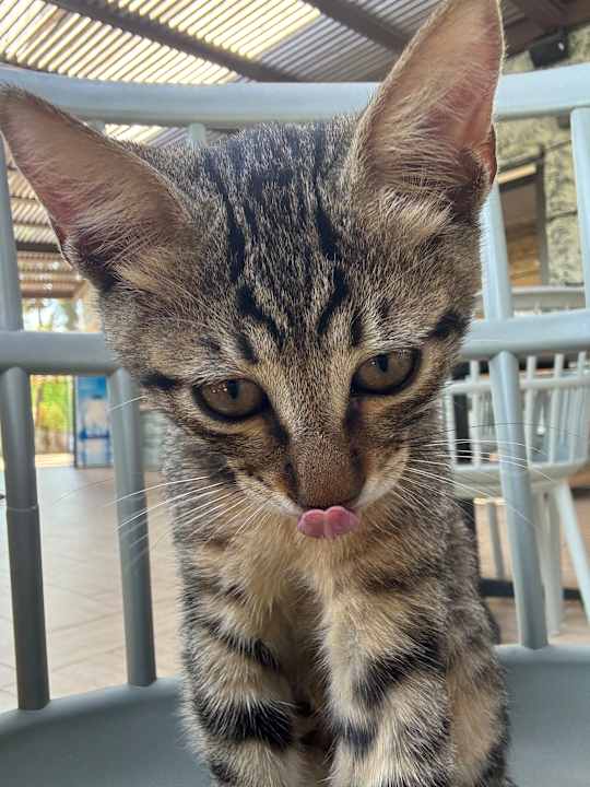 Gartenanlage allsun Numa Club Side