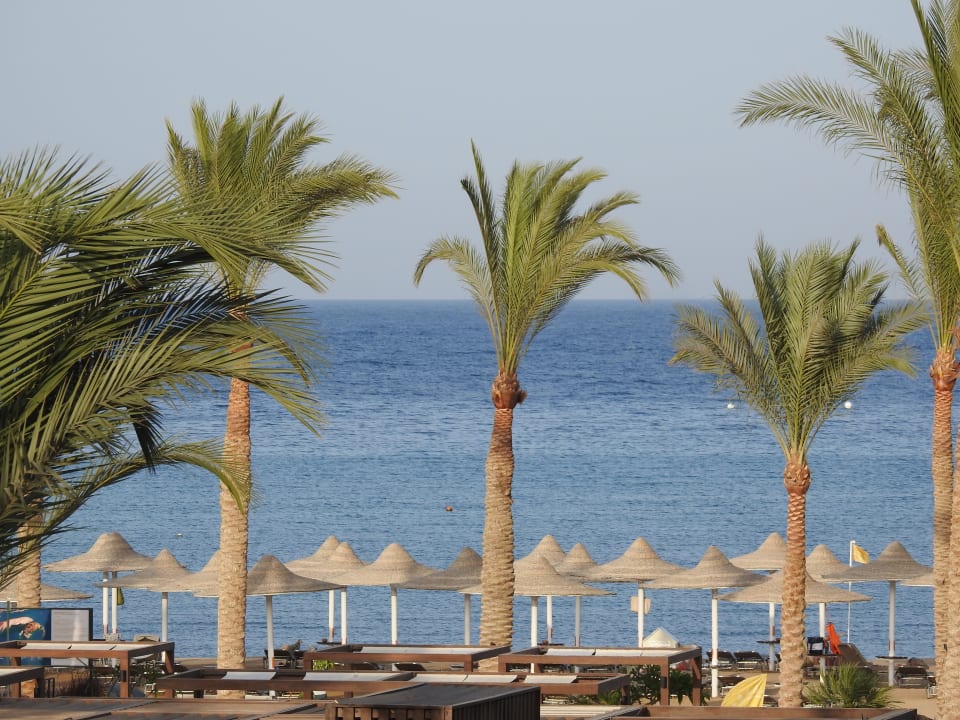 Strand Jaz Costa Mares (Adults Only)