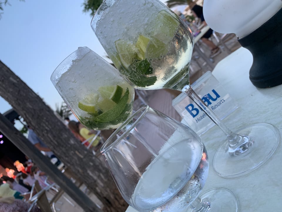 Gastro blau punta reina