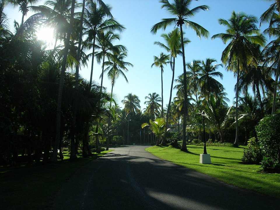 Hotel Grand Palladium Palace Resort, Spa & Casino Hotel Grand Palladium Palace Resort, Spa & Casino