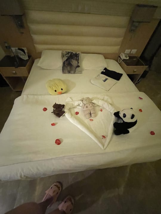 Außenansicht Beach Albatros Resort