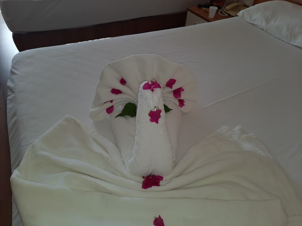 Zimmer Oz Hotels Incekum Beach