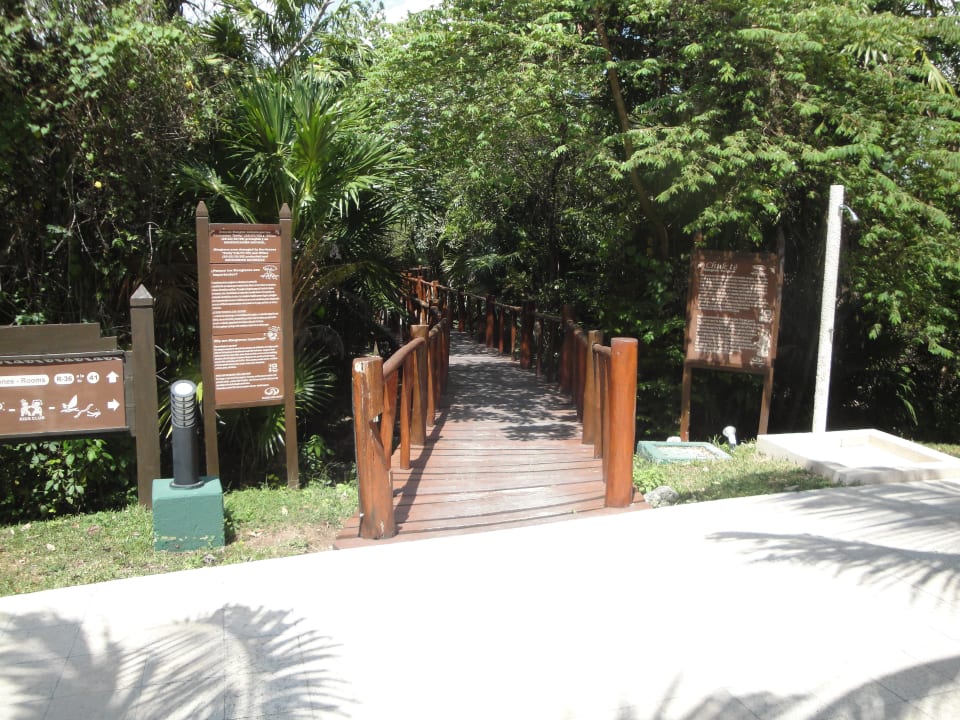 Übergang vom Pool zum Strand Grand Palladium Colonial Resort & Spa