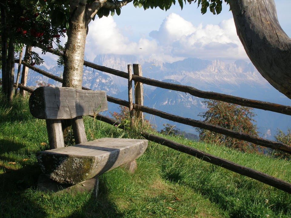 "Die einsame Bank im Garten zum Träumen" Naturidylle ...
