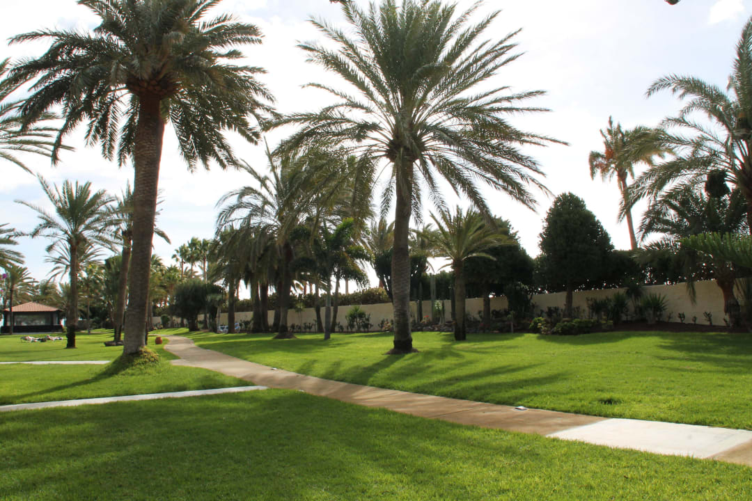 Aussicht zur Terrasse ROBINSON JANDIA PLAYA