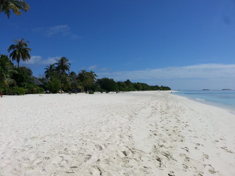 Einfach nur schön Kuredu Island Resort & Spa