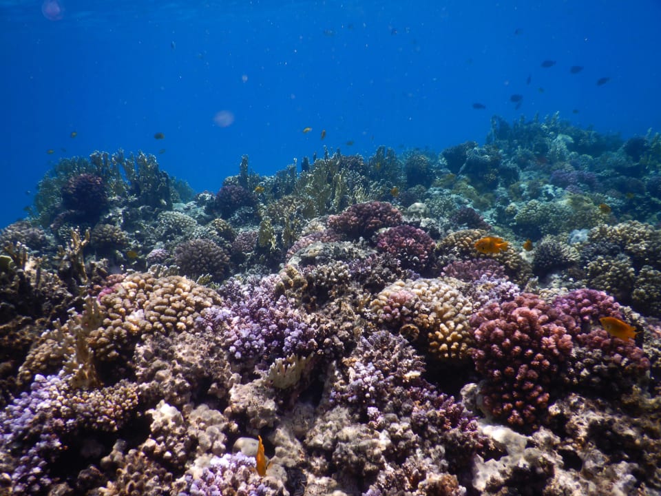 Sport & Freizeit Makadi Palace