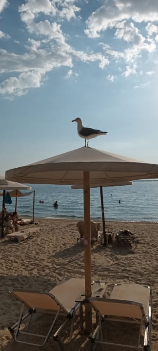 Strand Akrathos Beach Hotel