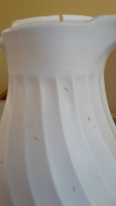 Maden an der Kanne TRS Turquesa Hotel - Adults only