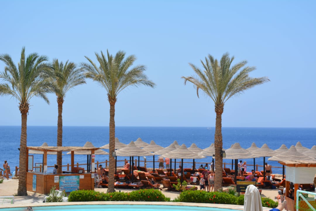 Vom Beach-Pool die Aussicht  Sharm Plaza