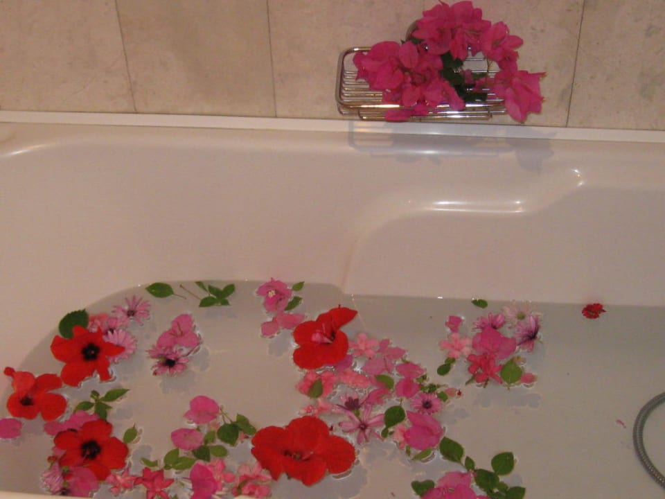 Einfach geil Hotel Kalithea Horizon Royal