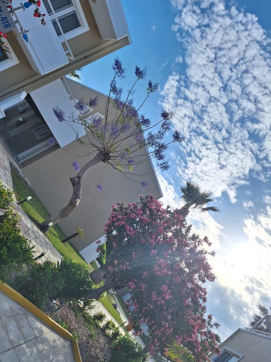 Gartenanlage Corali Hotel