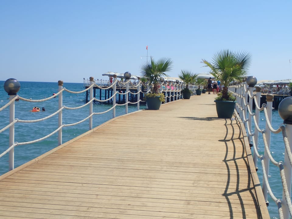 Strand Royal Seginus