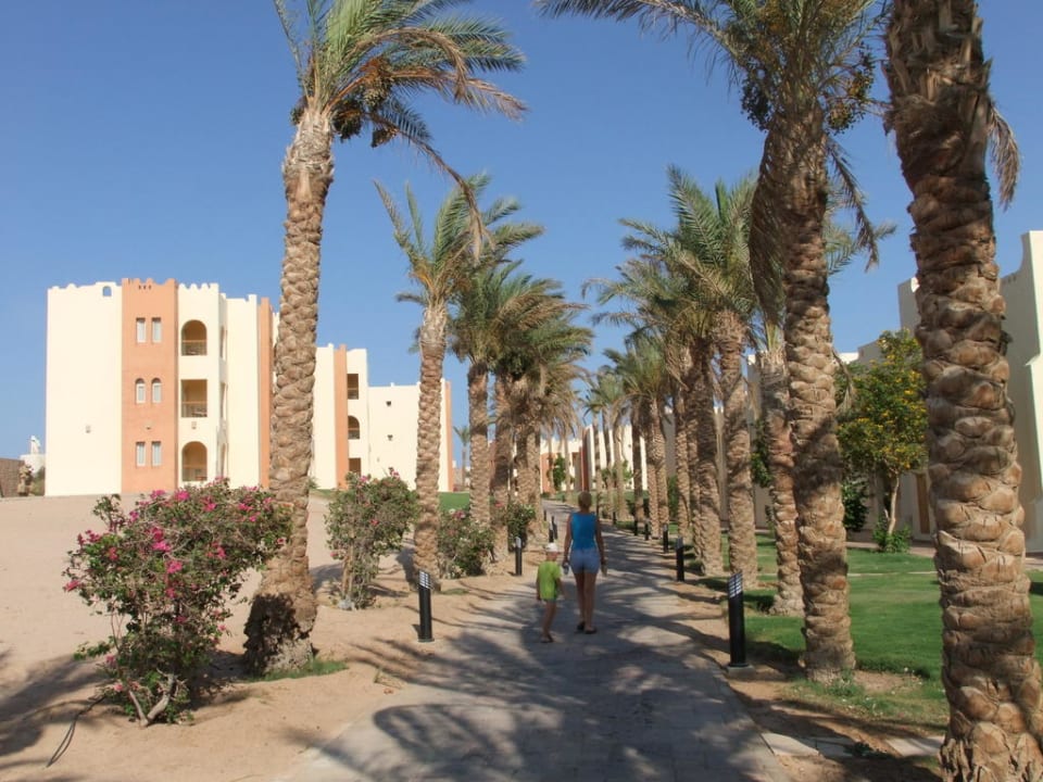 Alejka SUNRISE Royal Makadi Resort