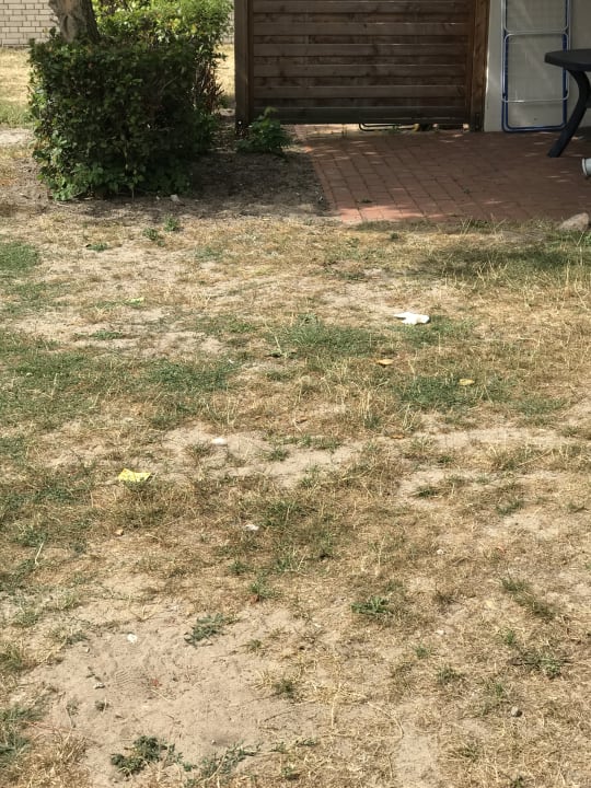 Gartenanlage Ferienwohnungen Ferienpark Weissenhäuser Strand