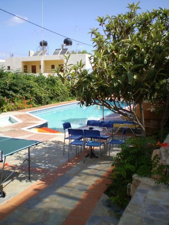 The pool Kalypso Hotel