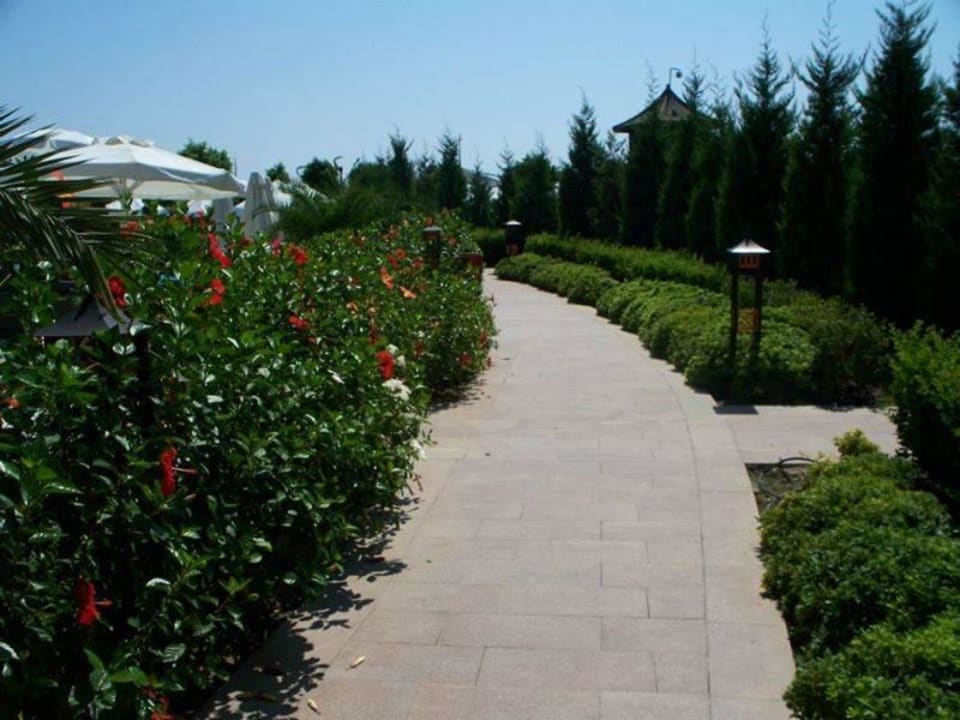 - Limak Lara Deluxe Hotel & Resort