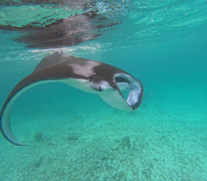 Sport & Freizeit NH Collection Maldives Reethi Resort