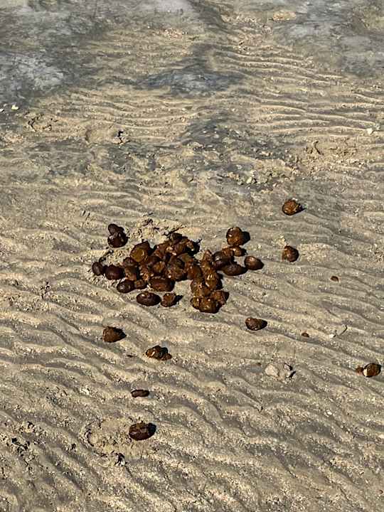 Strand Casa Mare Resort