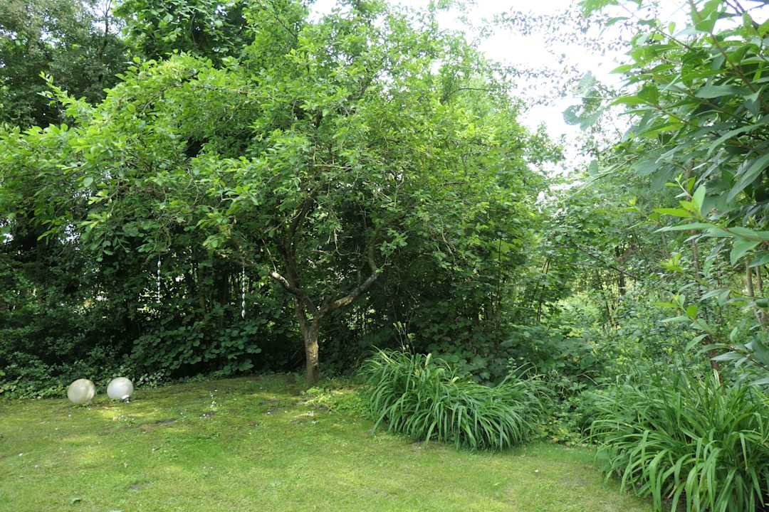 Gartenanlage Architektenhaus am Pewsumer Tief