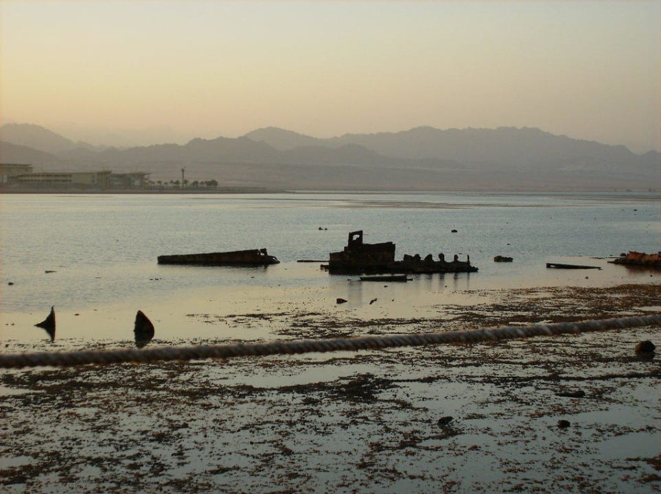 Blick vom Steg bei Ebbe Pickalbatros Royal Moderna Resort-Sharm El Sheikh