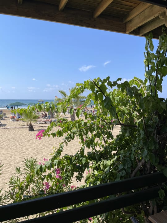 Strand Paloma Oceana