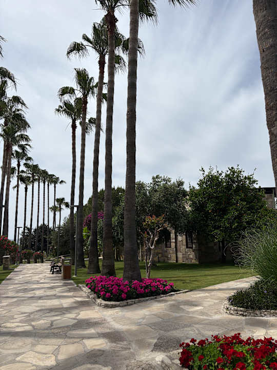Gartenanlage Arum Barut Collection