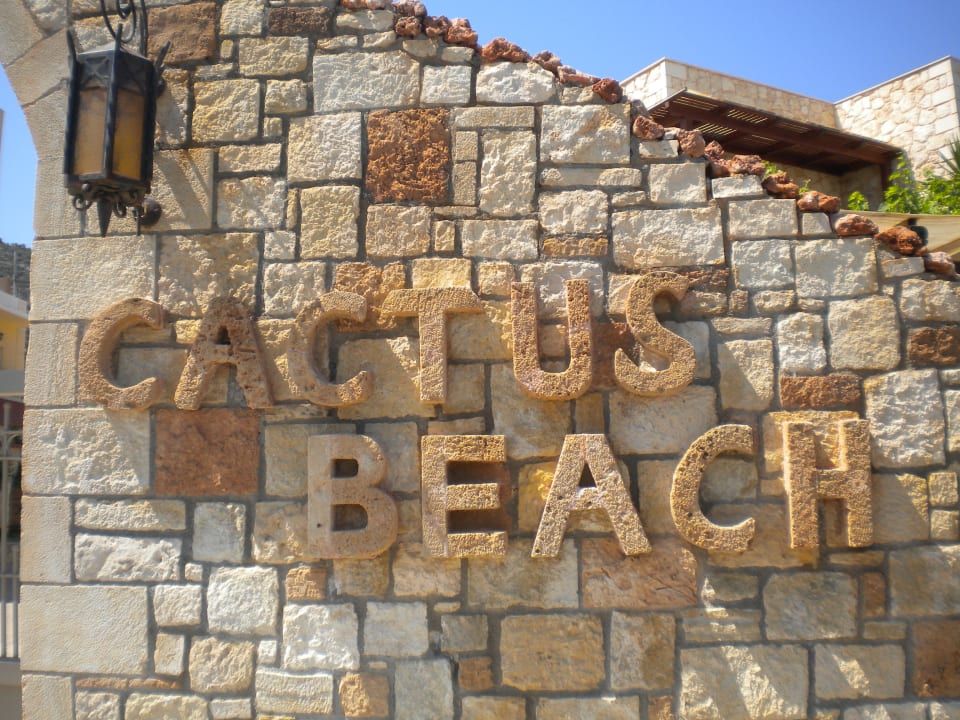 Sonstiges Cactus Beach