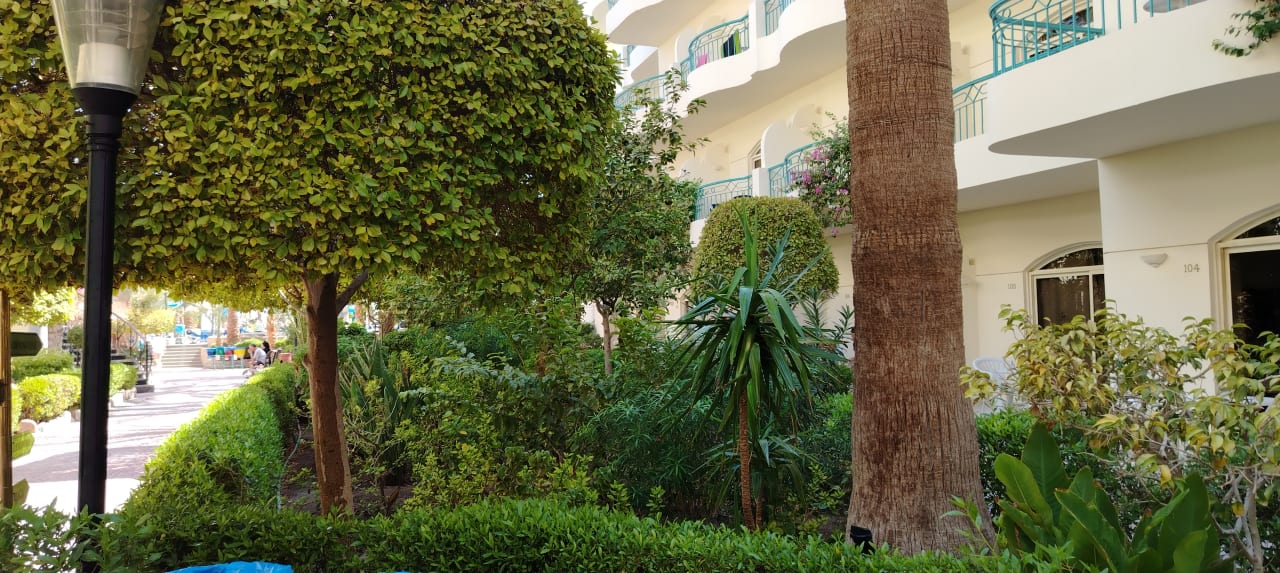 Gartenanlage Bella Vista Resort Hurghada
