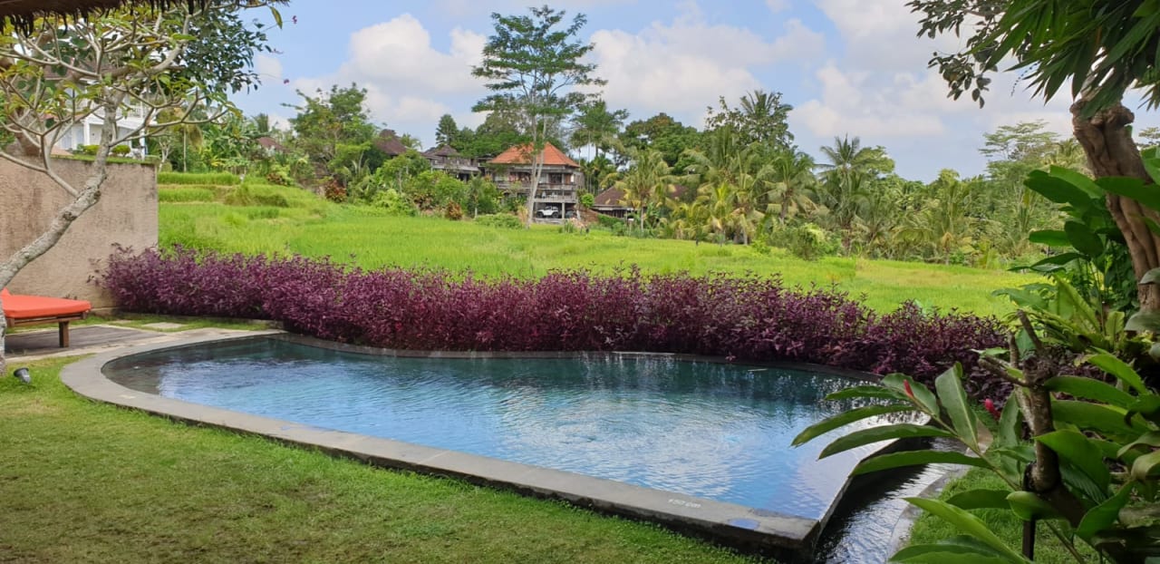 Pool Atta Mesari Ubud