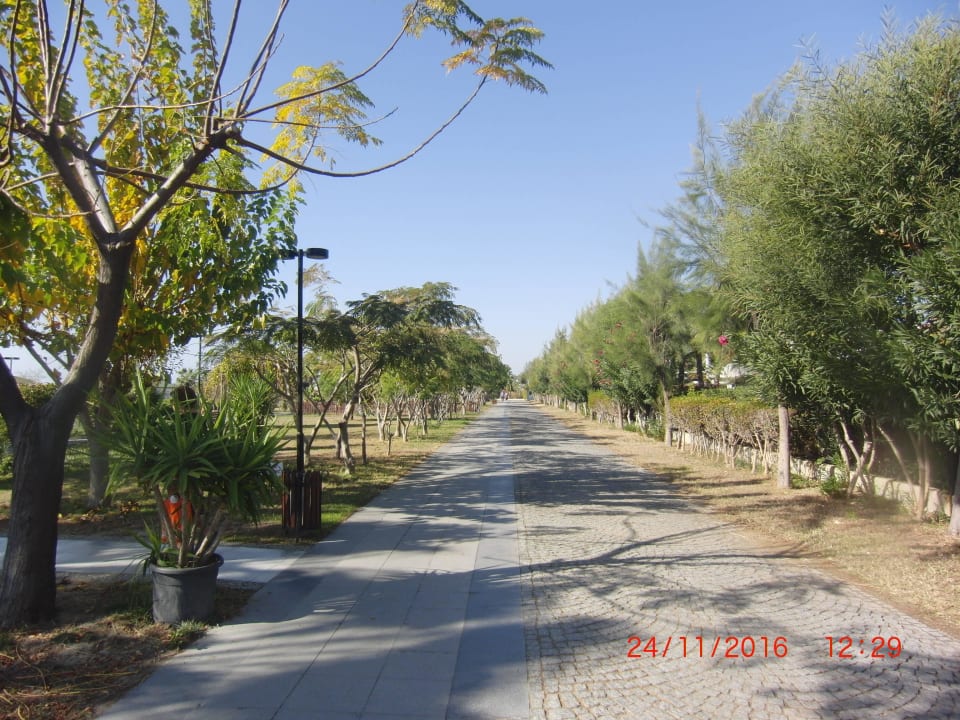 Strandpromenade Aydinbey Kings Palace & Spa