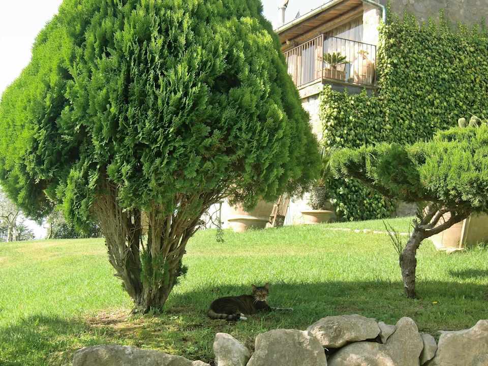 Idyllisch Farmhouse Marecoccola