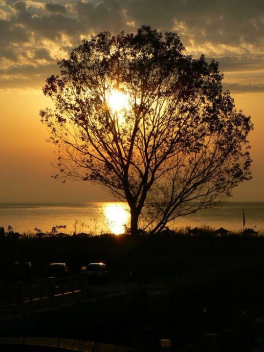 Sonnenuntergang Alexandra Golden Boutique - Adults only