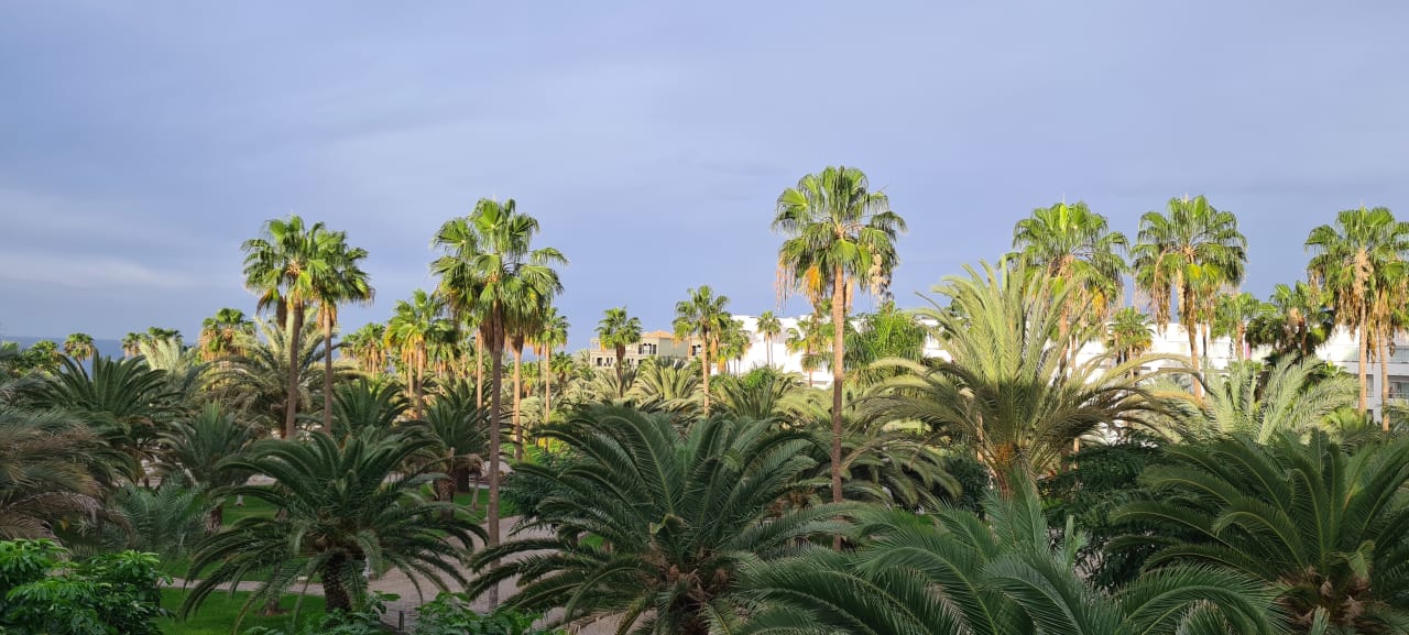 Ausblick Hotel Riu Gran Canaria