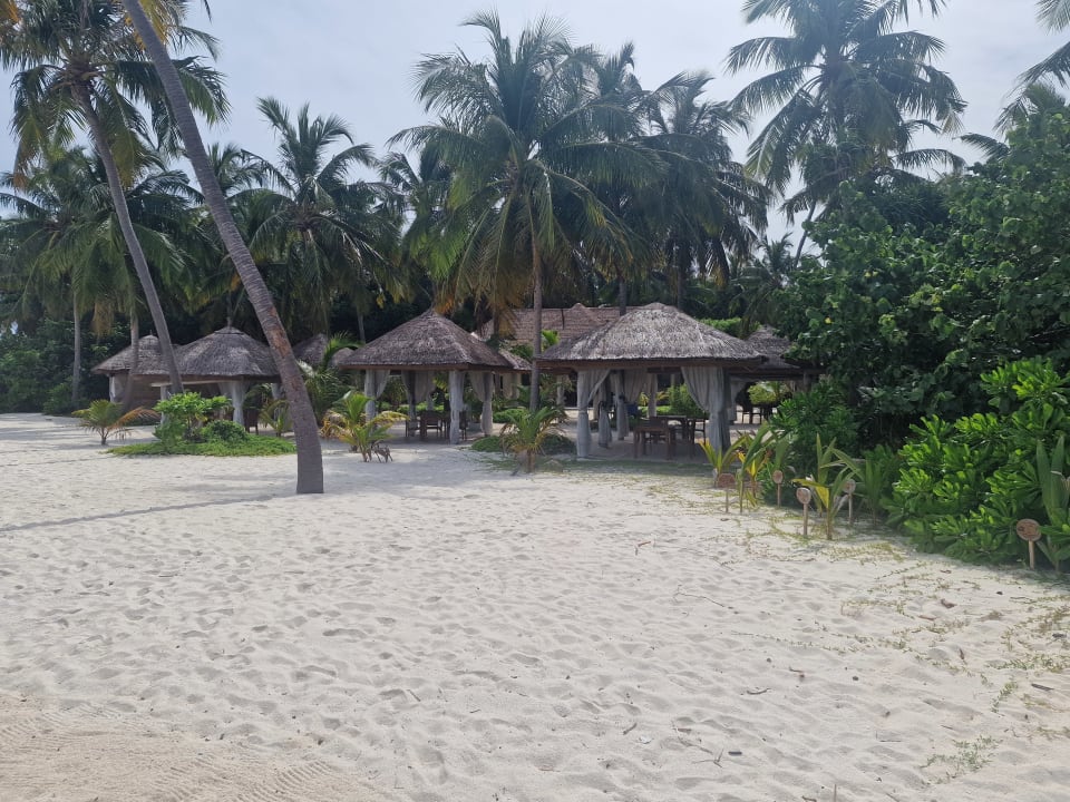 Gastro Reethi Faru Resort