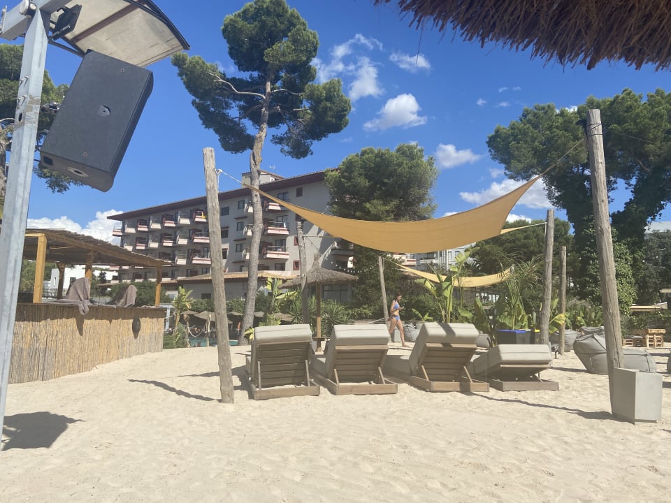 Gartenanlage Caramelo Palma Beach
