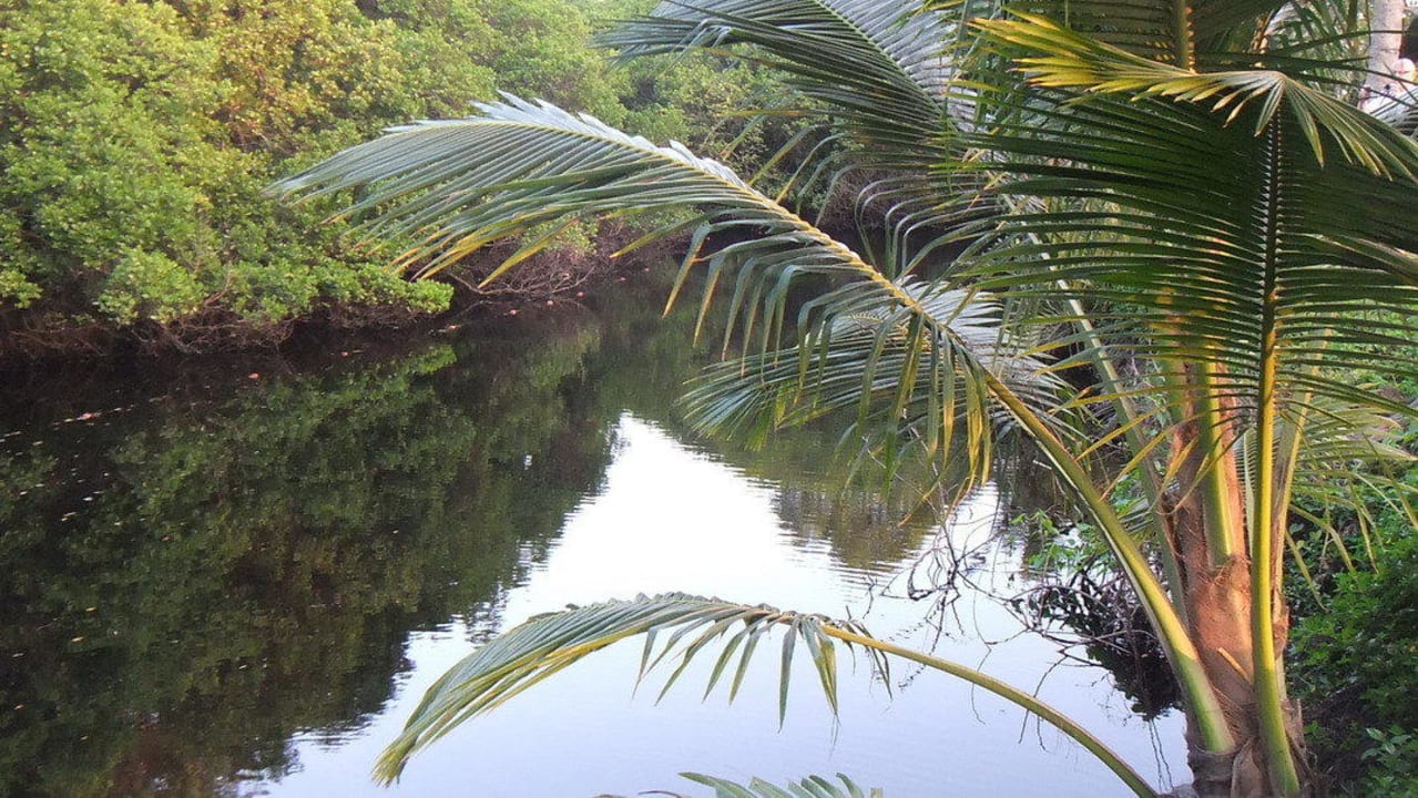 Lagune Club Palm Bay