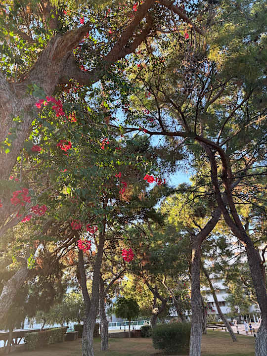 Gartenanlage Rixos Premium Tekirova