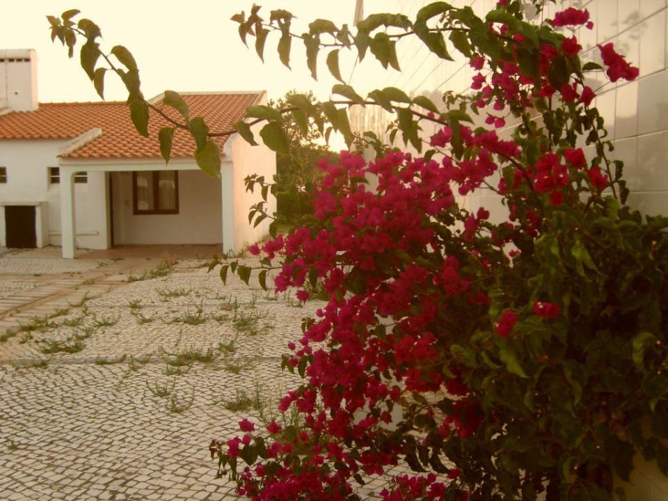 Bungalow Algarve Gardens Algarve Gardens