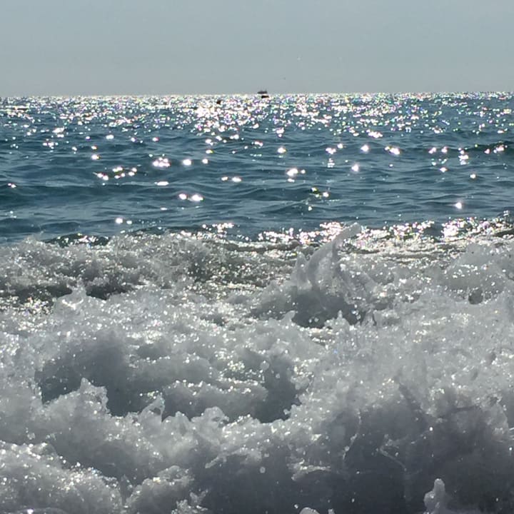 Strand TUI BLUE Palm Garden