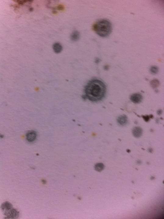 Schimmel Ramada Resort by Wyndham Side