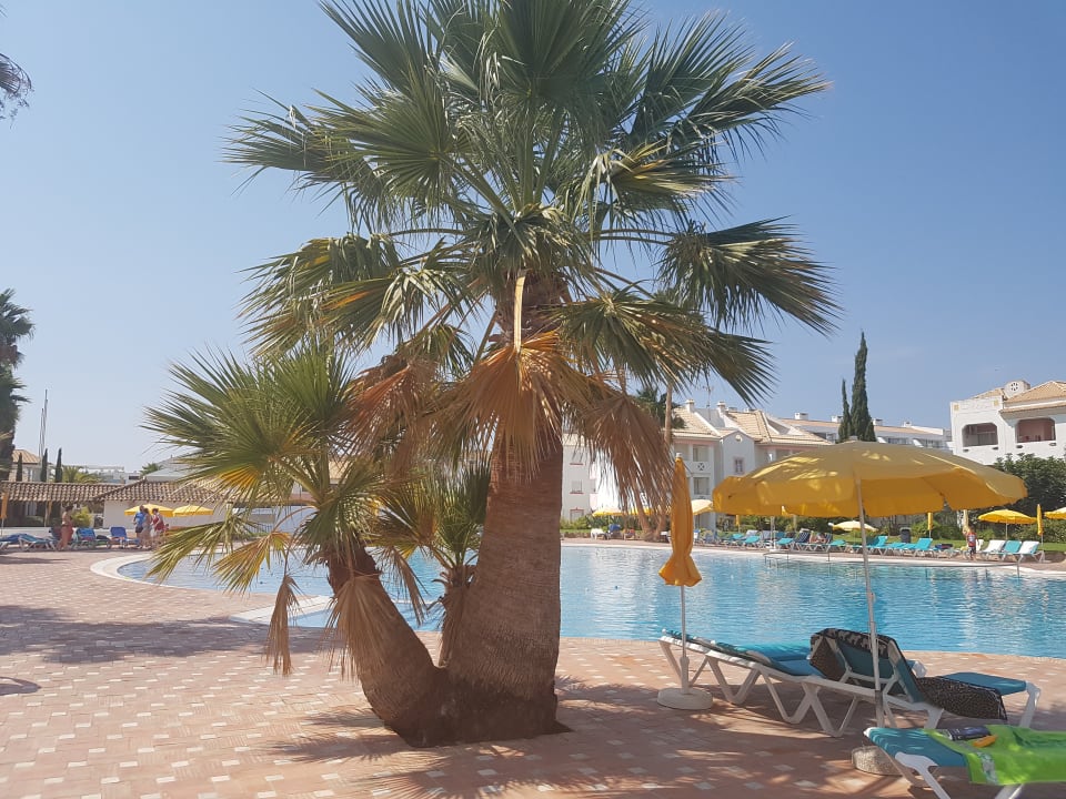 Pool Golden Club Cabanas