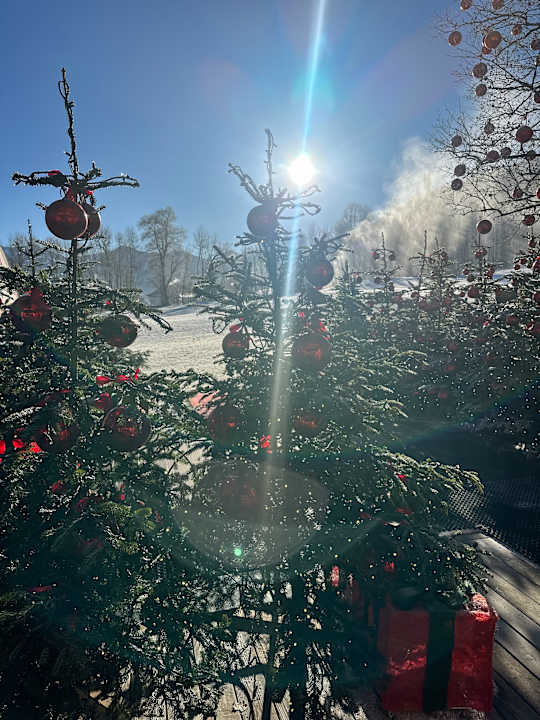 Gartenanlage Golf & Ski Hotel Rasmushof