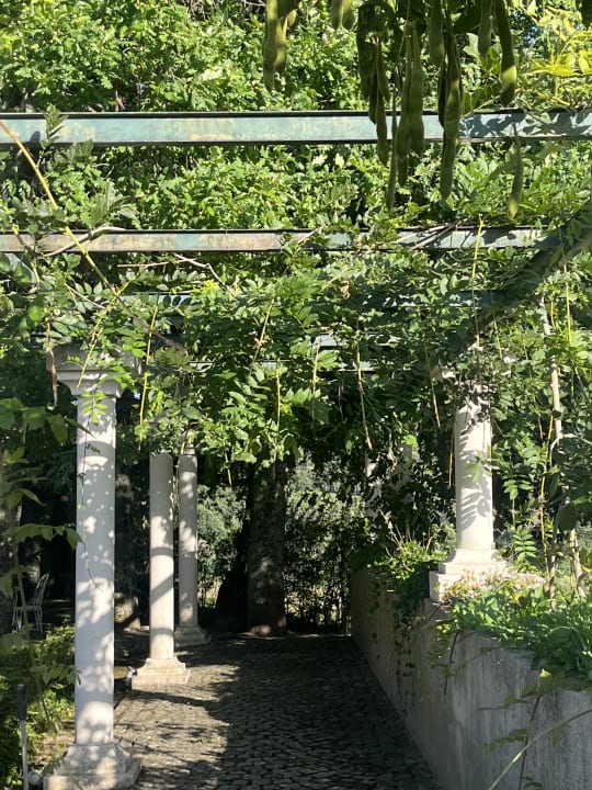 Gartenanlage Hotel Principe Perfeito